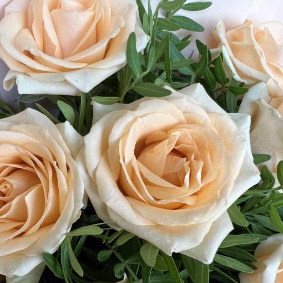 Букеты из роз Букет из 9 кремовых роз с зеленью